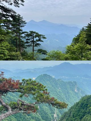 Mingtang Mountain | What a heavenly place on earth, so comfortable