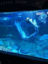 南京旅遊攻略，沉入藍色的海底世界