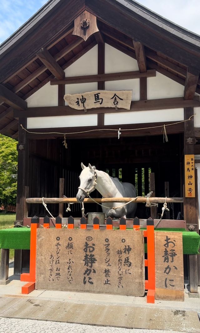 京都從北到南有頂天家族巡禮加大德寺枯山水citywalk路線