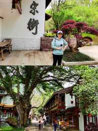 岩石清澈，樹木翠綠，茶香四溢，武夷山國家公園的真實體驗