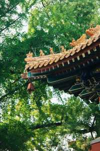 北京最強能量場——北海公園超全遊玩指南