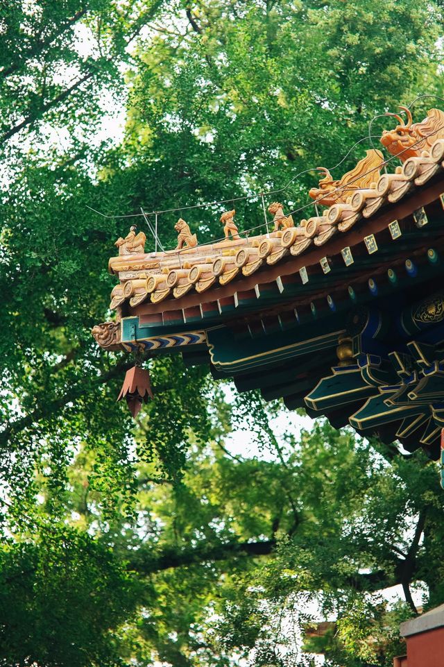 北京最強能量場——北海公園超全遊玩指南