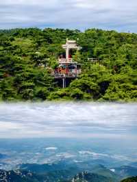 快看！沂蒙山旅遊景區這令人咋舌的一面！
