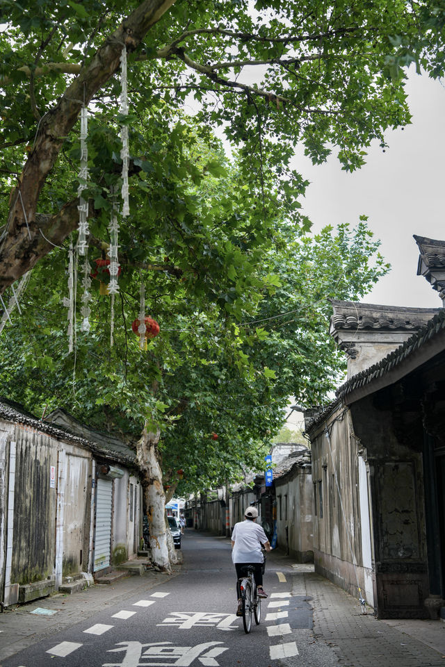 在宁波荡荡马路儿citywalk最好逛的街