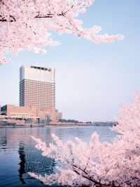 🌸 Osaka's Serene Luxury: Imperial Hotel Insights 🏨