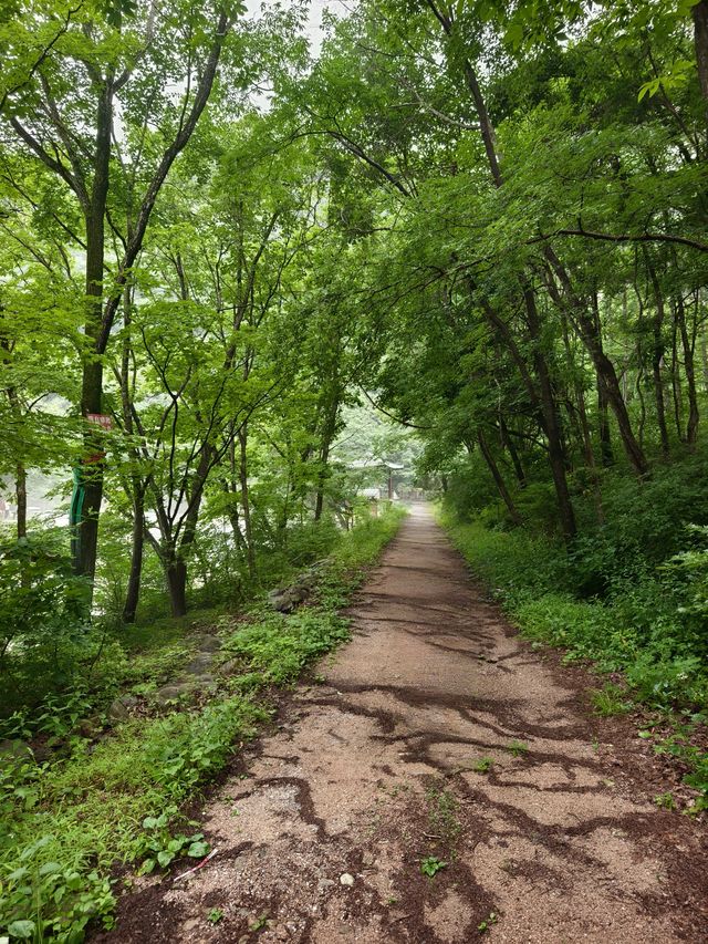 蒲石河森林公園（遼寧省鳳城市，4A）