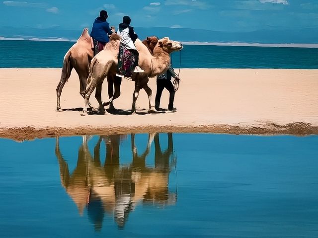 青海湖，“高原聖湖”