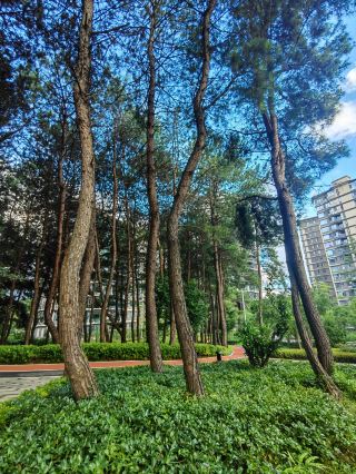 貴陽天空風雲多變很是生動