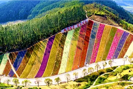 漳州出行計劃丨十里藍山一日遊