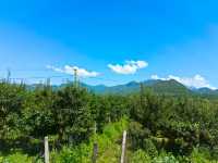拉市海茶馬古道