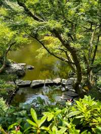 東京小眾景點|最詩意的八芳園