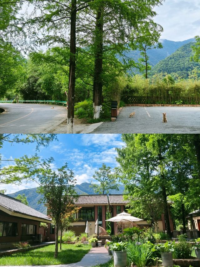 森林植被覆蓋率高，天然的避暑勝地