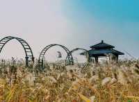 杭州灣濕地公園
