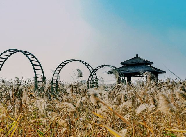 杭州灣濕地公園