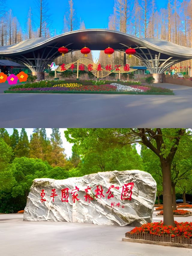上海東平國家森林公園位於上海市崇明區北沿公路2188號。