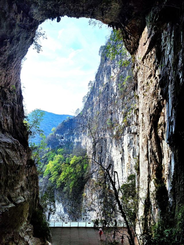 廣西百色|大石圍天坑群•這曠野山河。