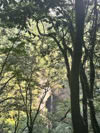 湖北恩施坪坝營｜又是一幅艷麗的山水畫。