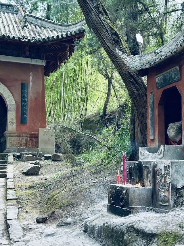中國奇譚中的譚貓廟終於見到了。