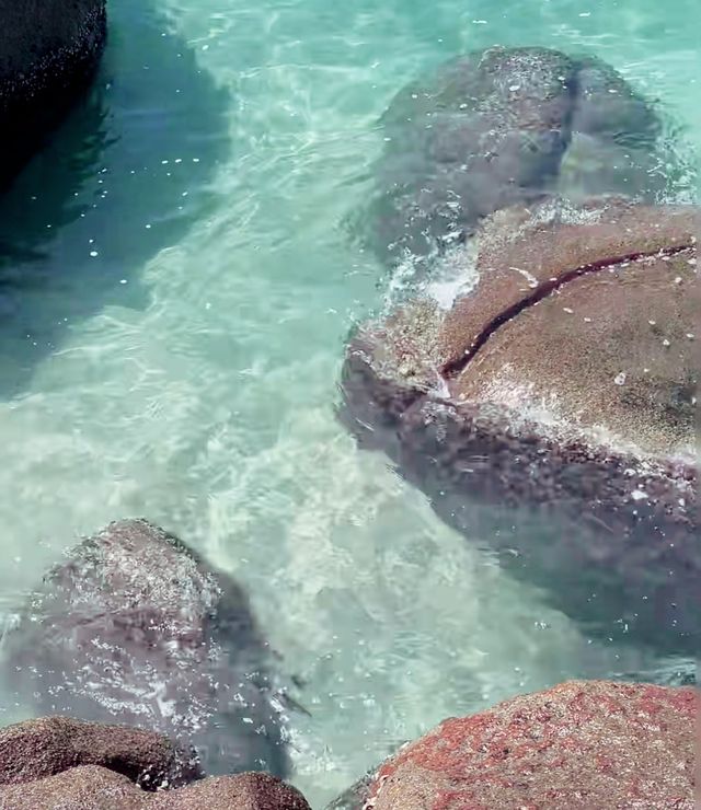 惠州海濱之旅：寧靜與美景的完美邂逅。