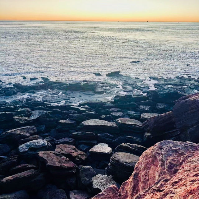 The Real Footprint of Dinosaur 🦕🐾 Live Fossil at Gantheaume Point🇦🇺