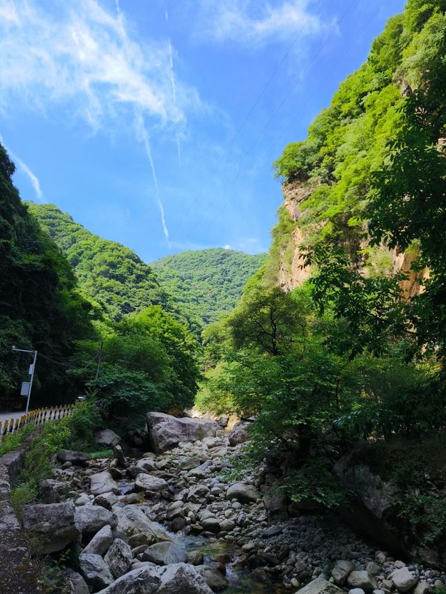 太平森林公園一日遊。