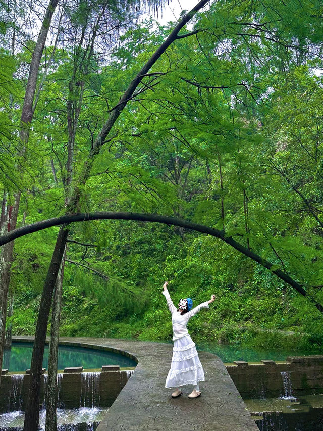 長沙 森林氧吧 大山沖森林公園 小九寨溝。