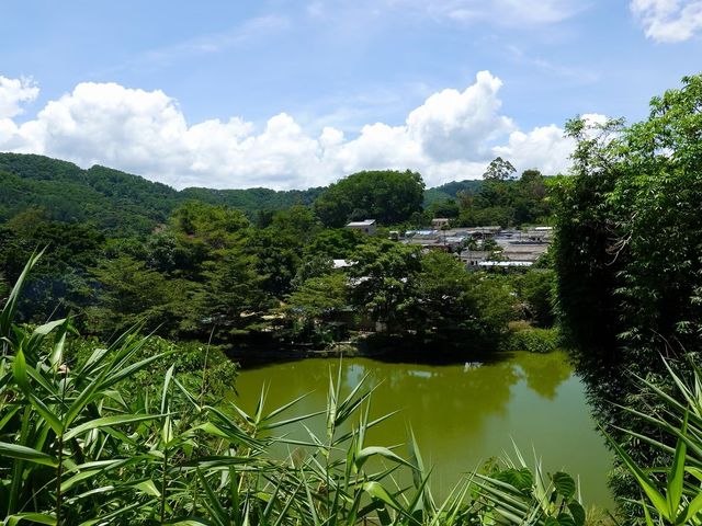 海拔最高的海南山村。