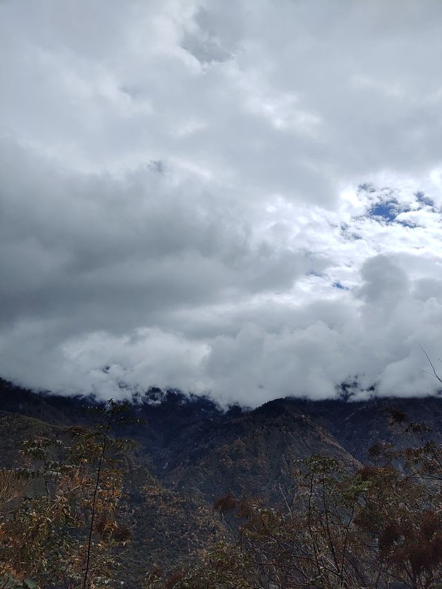 千人奔赴～臥龍川北營參加徒步登山節。