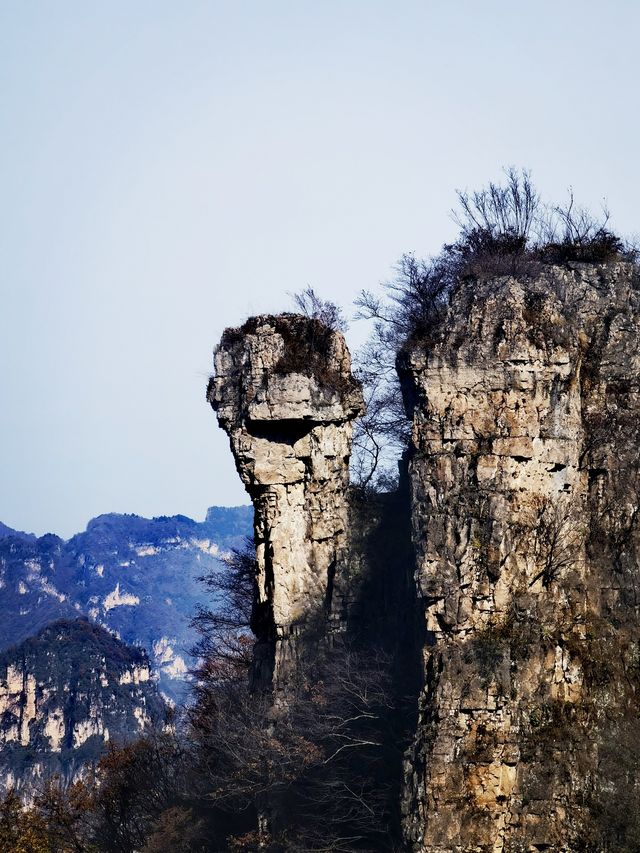 王莽嶺的獨特路線，你知道嗎？