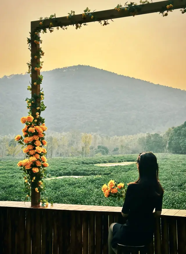 Wangshan is a new hiking spot in Suzhou that you can't miss in autumn. 