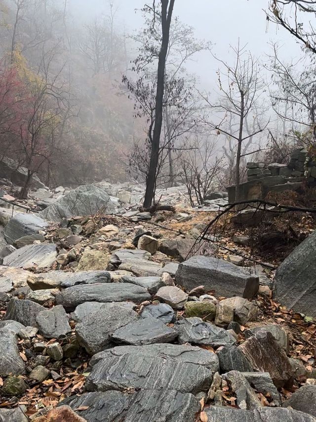 沂蒙仙境，深秋雨後的溫柔邂逅。。