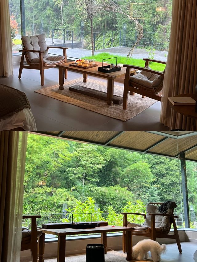 貴陽藏在山間的森林溫泉好 city 啊。