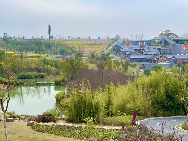 Chengdu’s cutesy pandas