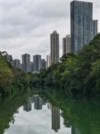成都沙河公園 | 城市中的綠野仙蹤。