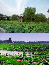 白洋淀避暑莊園——等待你來探秘之行。