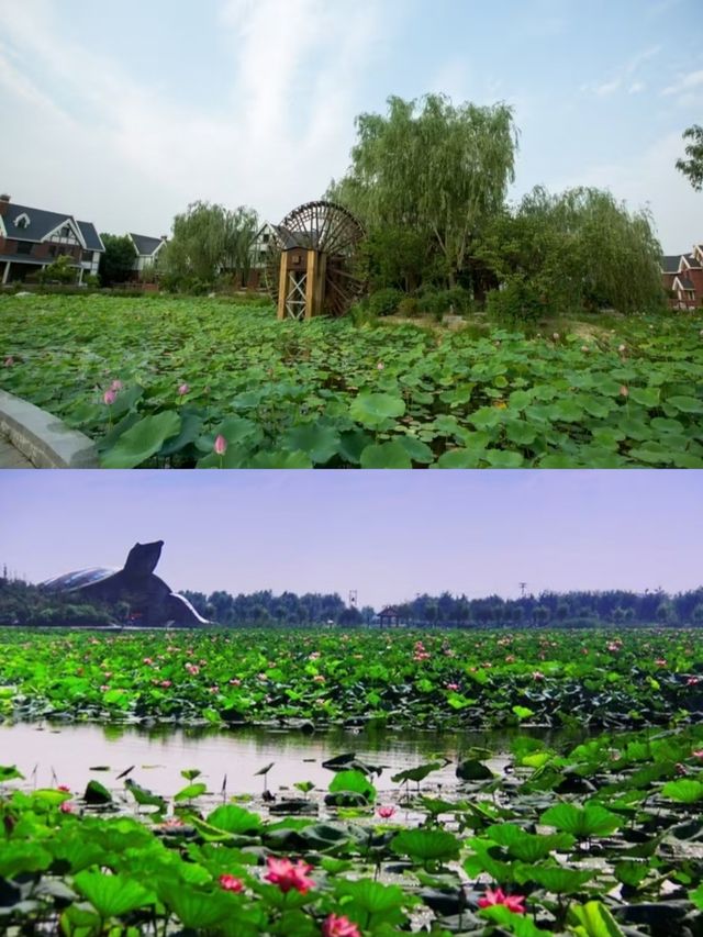 白洋淀避暑莊園——等待你來探秘之行。