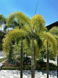 5日玩轉三亞-萬寧-陵水超詳細行程大揭秘