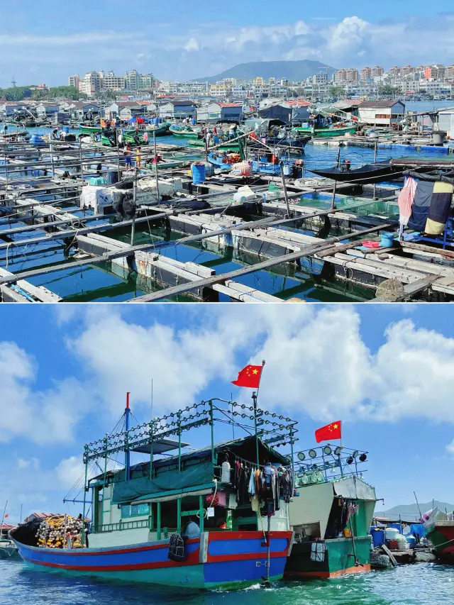 冬季反向遊 | 陵水奇遇，出海趕海&蛋家魚排