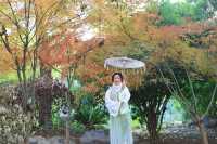 湖南｜別去長沙人擠人啦，這個被遺忘的小鎮更美