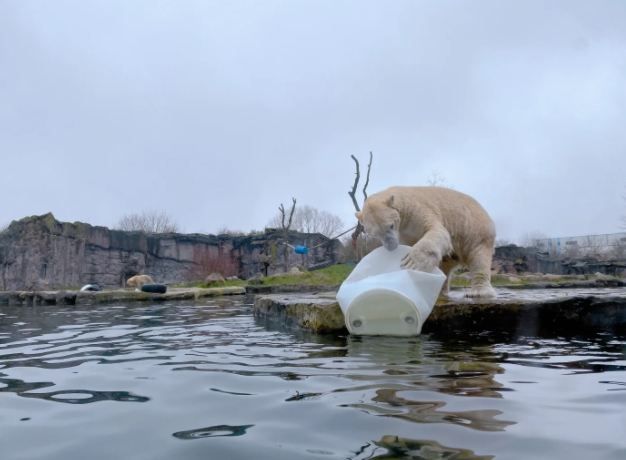薩爾布呂肯：動物園