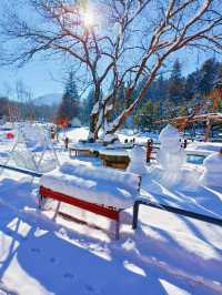 對不起了雪鄉，與之相比這裡更是童話世界！