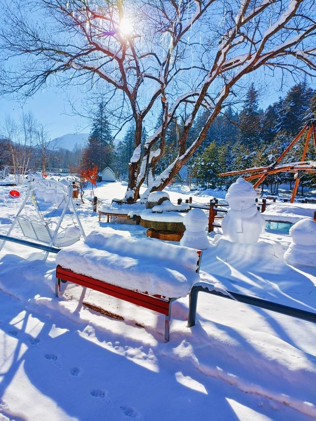 對不起了雪鄉，與之相比這裡更是童話世界！