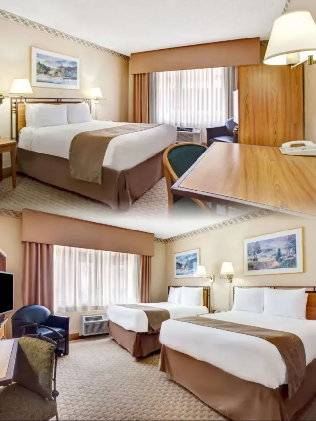 A must-stay hotel in Seattle｜Experience a different culture