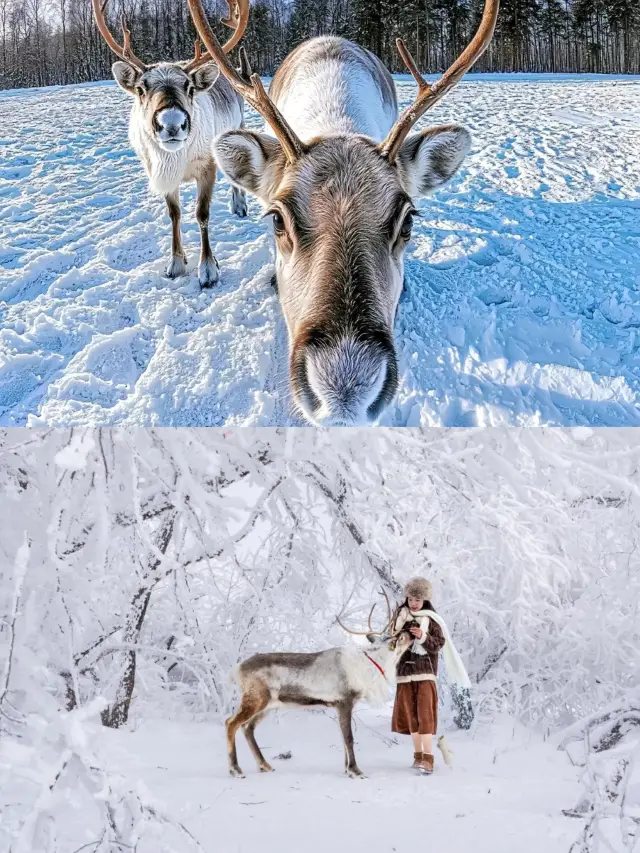 한 발짝으로 시작하는 겨울왕국 여행