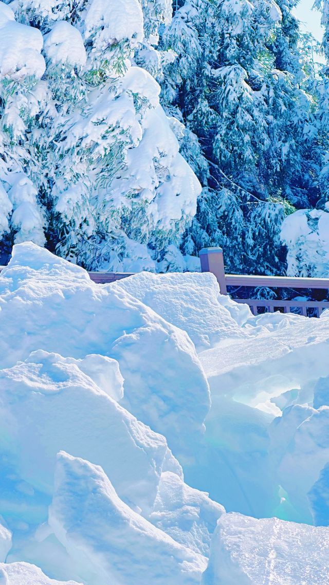 如何到達明月山滑雪場？