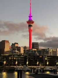 Auckland New Year Celebration