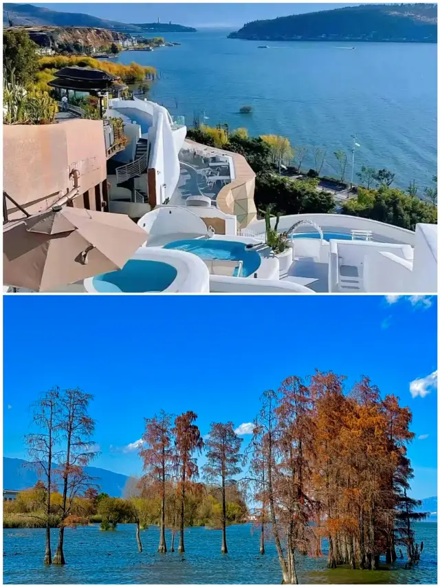 I highly recommend visiting Dali in winter. Sisters, copy this guide directly. 