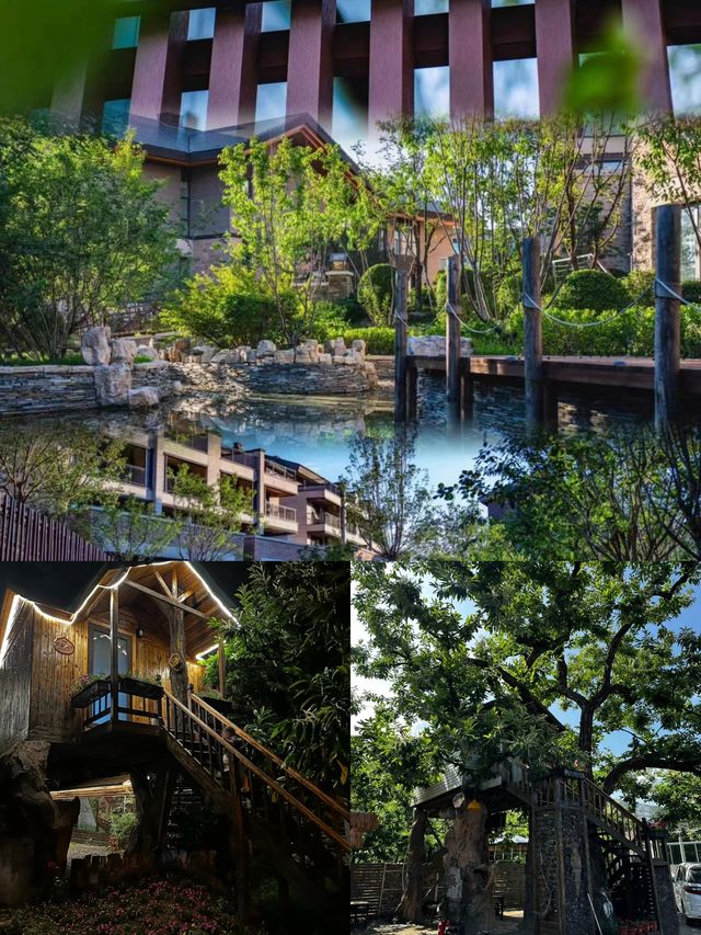 千萬不要去古泉小鎮,真的不想走 千萬不要去古泉小鎮,真的不想走