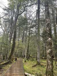 延邊2日|真溫泉度假不踩雷攻略