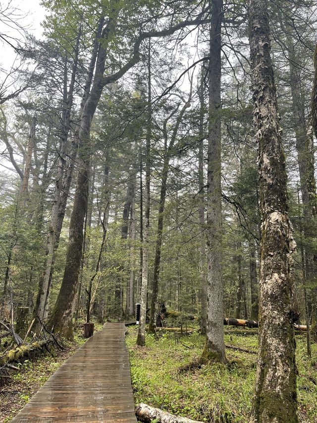 延邊2日|真溫泉度假不踩雷攻略 延邊2日|真溫泉度假不踩雷攻略